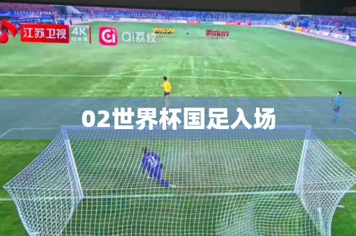 02世界杯国足入场 02世界杯国足入场