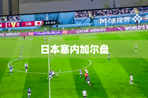日本塞内加尔盘 日本塞内加尔盘