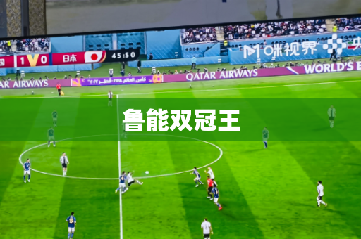 鲁能双冠王