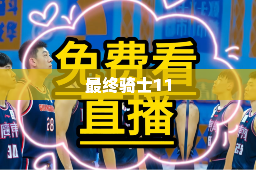 最终骑士11
