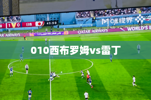 010西布罗姆vs雷丁