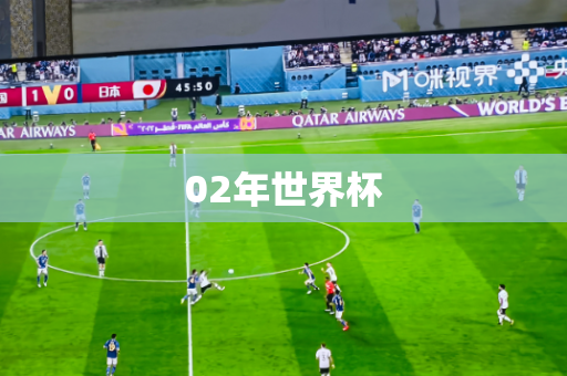 02年世界杯 02年世界杯