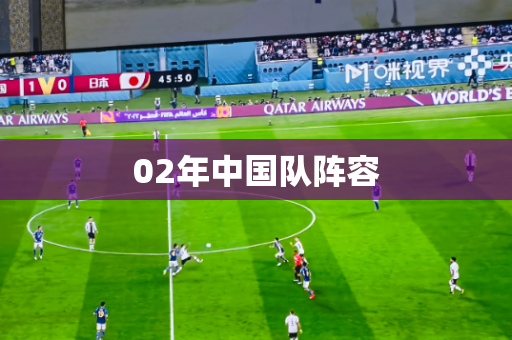 02年中国队阵容