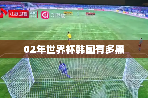 02年世界杯韩国有多黑