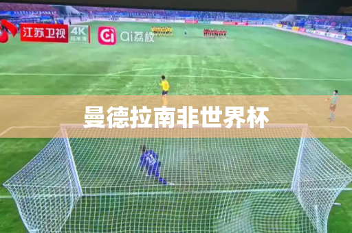 曼德拉南非世界杯 曼德拉南非世界杯