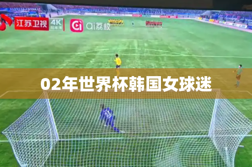 02年世界杯韩国女球迷