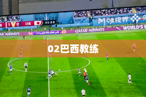 02巴西教练 02巴西教练