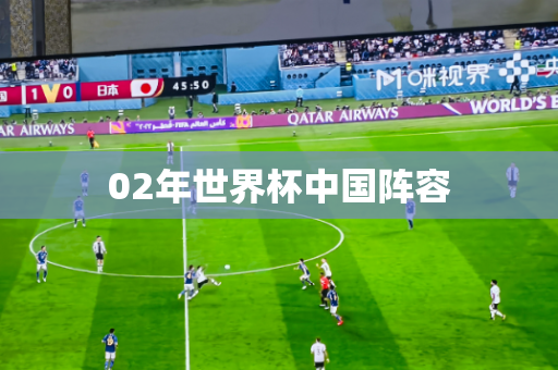 02年世界杯中国阵容 02年世界杯中国阵容