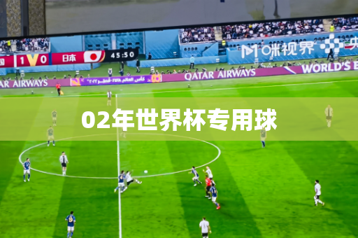 02年世界杯专用球
