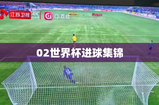 02世界杯进球集锦 02世界杯进球集锦