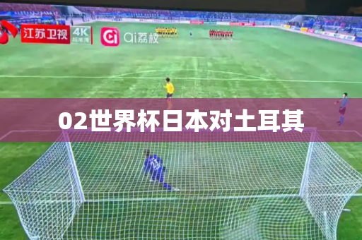 02世界杯日本对土耳其 02世界杯日本对土耳其
