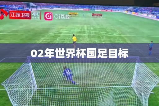 02年世界杯国足目标