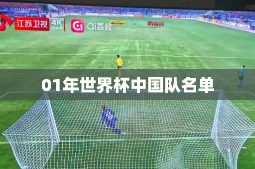 01年世界杯中国队名单