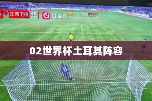 02世界杯土耳其阵容