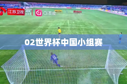 02世界杯中国小组赛