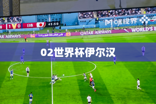 02世界杯伊尔汉