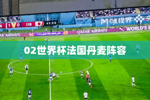 02世界杯法国丹麦阵容 02世界杯法国丹麦阵容