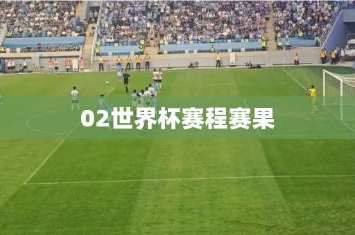 02世界杯赛程赛果 02世界杯赛程赛果