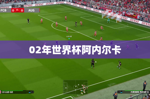 02年世界杯阿内尔卡 02年世界杯阿内尔卡