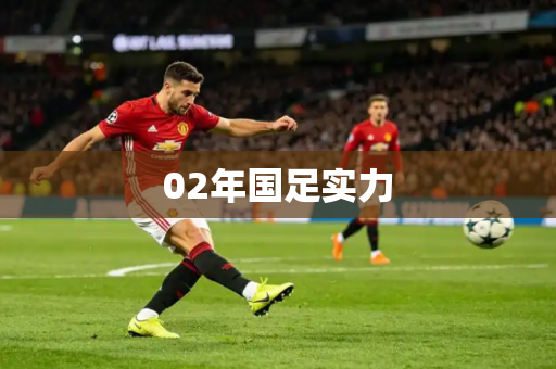 02年国足实力 02年国足实力