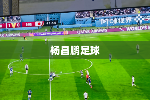 杨昌鹏足球 杨昌鹏足球
