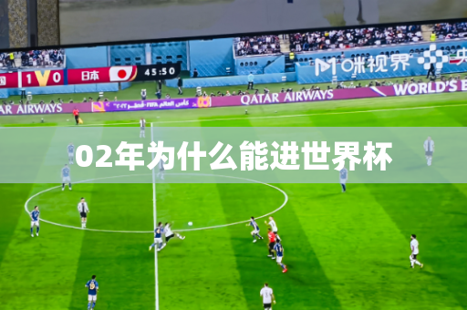 02年为什么能进世界杯