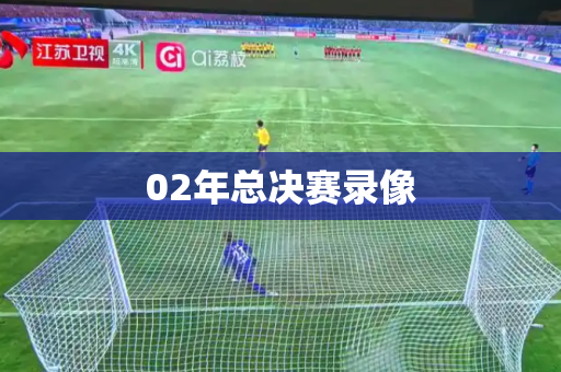 02年总决赛录像