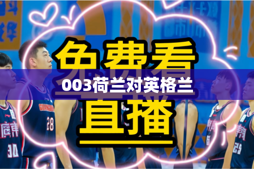 003荷兰对英格兰