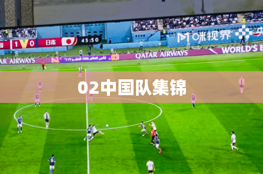 02中国队集锦 02中国队集锦
