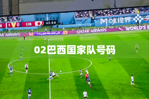 02巴西国家队号码 02巴西国家队号码