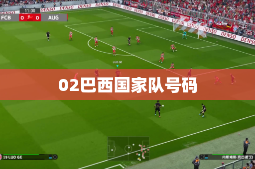 02巴西国家队号码
