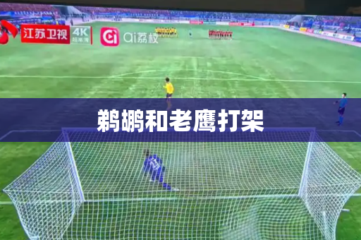 鹈鹕和老鹰打架 鹈鹕和老鹰打架