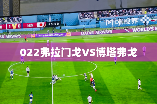 022弗拉门戈VS博塔弗戈