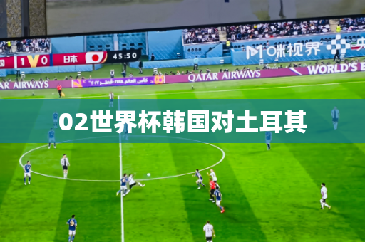 02世界杯韩国对土耳其 02世界杯韩国对土耳其