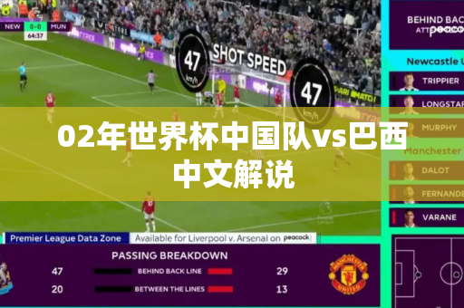 02年世界杯中国队vs巴西中文解说 02年世界杯中国队vs巴西中文解说