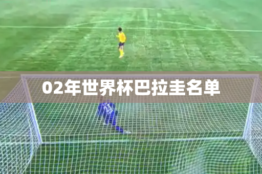02年世界杯巴拉圭名单 02年世界杯巴拉圭名单
