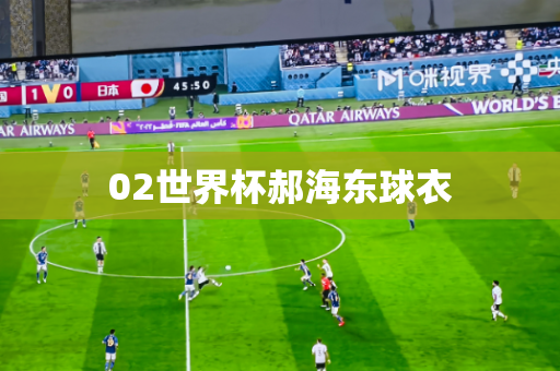 02世界杯郝海东球衣 02世界杯郝海东球衣