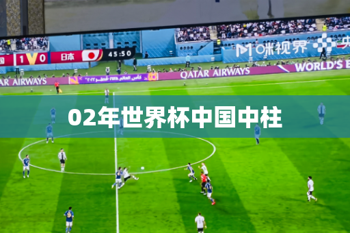 02年世界杯中国中柱 02年世界杯中国中柱