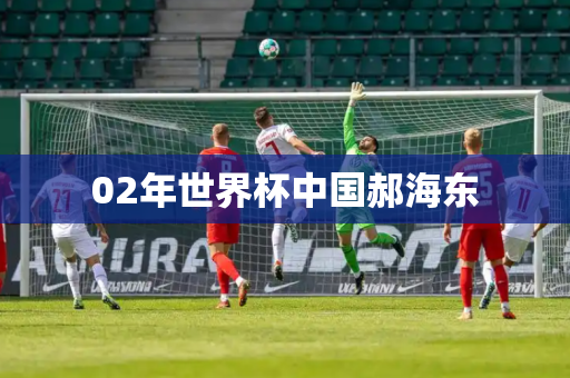 02年世界杯中国郝海东 02年世界杯中国郝海东