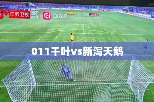 011千叶vs新泻天鹅 011千叶vs新泻天鹅