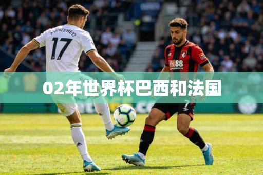 02年世界杯巴西和法国 02年世界杯巴西和法国