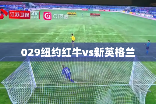 029纽约红牛vs新英格兰 029纽约红牛vs新英格兰