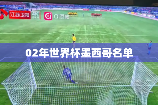 02年世界杯墨西哥名单