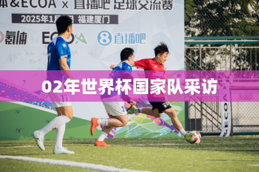 02年世界杯国家队采访 02年世界杯国家队采访