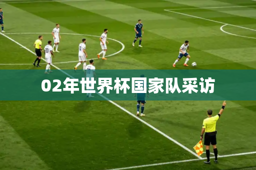 02年世界杯国家队采访 02年世界杯国家队采访