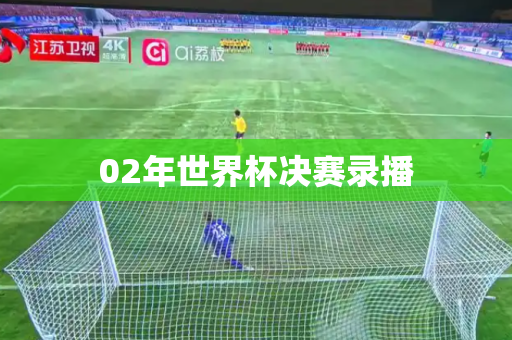 02年世界杯决赛录播 02年世界杯决赛录播