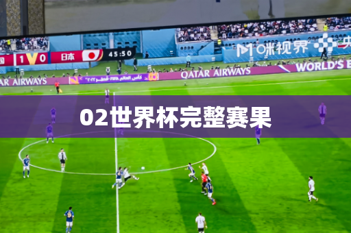 02世界杯完整赛果