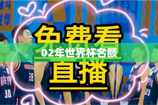 02年世界杯名额