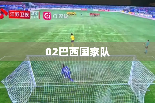 02巴西国家队 02巴西国家队