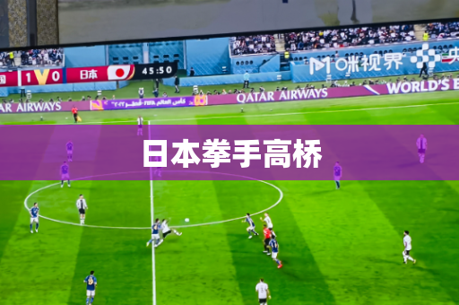 日本拳手高桥